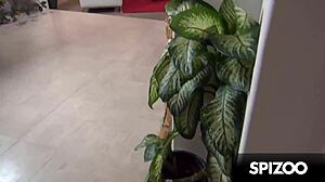 hey, epic threesome with janice griffith and alix lynx involves blowjob, doggystyle, riding monster cock