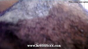 Round And Brown Big Butt Pounded Emotionally