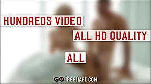 Nicole Aniston Naughty Wedding Blowjob