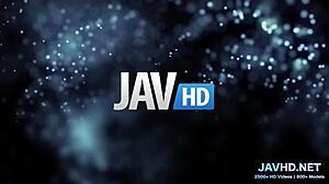 Japanese MILFs Give Juicy Blowjobs in Hardcore Compilation