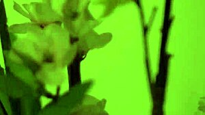 Naughty girl feels intense pleasure with friend's cock