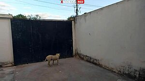 novinha in towel surprises pizza guy with cum facial and cock sucking