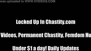 I Caught You Looking At Porn Again!