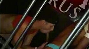 Me Fudeu Gostoso Lick Mature Teen Ass Cum In Mouth Assfucking Bareback Solo Big Black Cock Amateurs