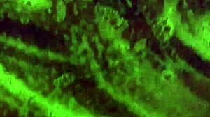 Mzkiwi Takes Anal First Time