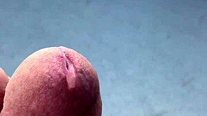 slobberpuss has a hot day with her mature tits