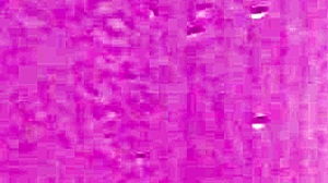 Aussie asks, Can I suck you?