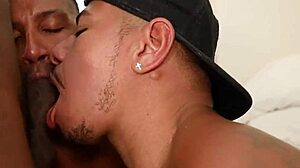 Gay Orgy Retrospective