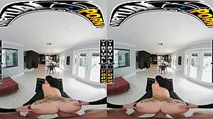 Doggystyle VR Compilation Featuring Reyna Delacruz, Bailey Base, Kimmy Kimm And More