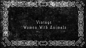 Dark lantern presents victorian confessions