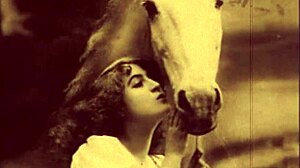 Dark lantern presents victorian confessions