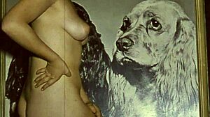 Dark lantern presents victorian confessions