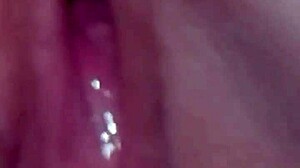 Amateur couple captures intimate moment on August 1, 2015