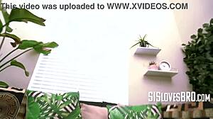 skinny blonde teen 18+ sofie reyez thanks stepbro with pov fucking