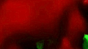 Blonde Argentina Gives Handjob And Blowjob