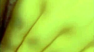 My Fat Pussy Philly Bitch