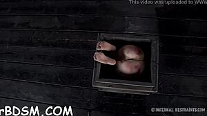 Does this extreme toy excite the hottie in BDSM?