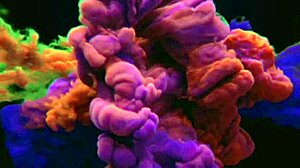 estava jogando free fire quando marido caiu de boca na minha buceta greluda