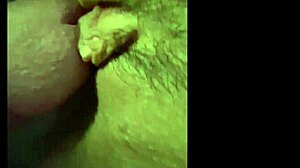 Greluda Maravilhosa Dying Of Horniness