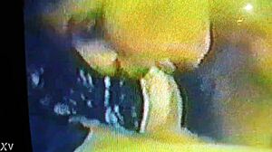 Blowjob Goddess Wife!