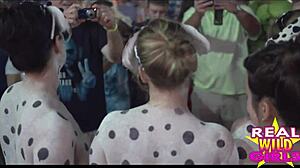 Fantasy fest features street flashing sluts in high quality