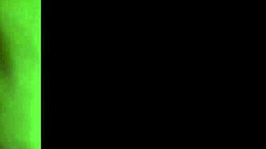 Greluda Maravilhosa Dying Of Horniness