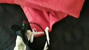 Dirty Asian Teen 18+ Japanese Amateur Assfucking with Used Panties Fetish Sex