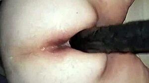 Big ass amateur bbw riding big black dildo hard