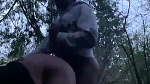 hiking trail at night