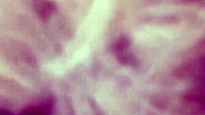 i'm riding tha dicc with my big ass