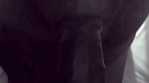 straight mouth action on monster cock in pov