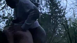 hiking trail at night