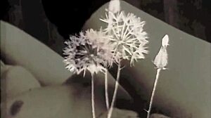 Watch My Secret Life Vintage Double Penetration Anal Threesome!