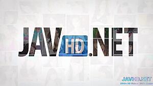 pov action with hot japanese chicks in vol 2 compilation