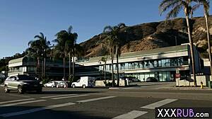 Hot Brunette Tiffany Doll Licks Milf India Summer's Wet Pussy After Massage!