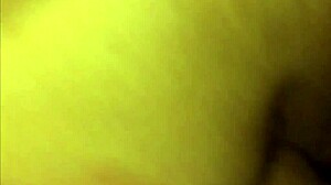 check out this creampie compilation with bbw amateurs in hd