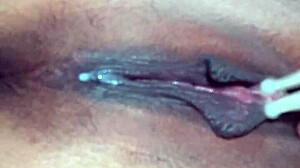 Pornstar Poosoo Plays On June 5, 2017