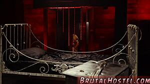 i watched young blonde jade jantzen get bound and dominated