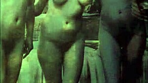 Two centuries of vintage pornography