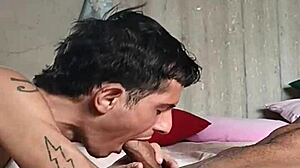 raw interracial blowjob with neighbor's massive twenty-three centimeter cock in bareback action