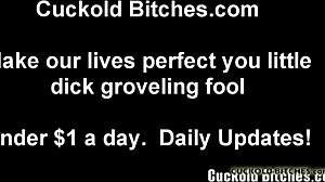 my boyfriend will cum right in your face while i watch as femdom cuckold