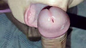 White Wolf Ofc - Aquela Garganta Profunda Noturna Da Esposa Ft White Moon