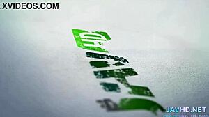 Do Japanese Girls Really Like It This Way in Vol 29?