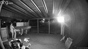 Does wife suck and fuck outdoors?