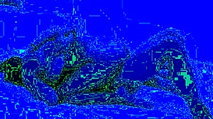 real homemade amateur