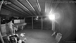 Does wife suck and fuck outdoors?