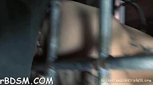 Rough BDSM machine sex with blowjob and orgasm