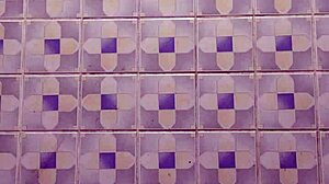 hidden camera catches mature woman peeing in lima hotel bathroom