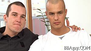 Sex Clips Homosexual With Gay Actions And Roles In Detailed Scenes