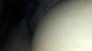 Two Lovers Fuck Each Other's Pussies and Cocks with Passion.